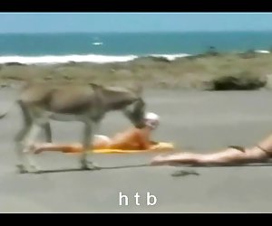 Домашнее порно белого парня с черной женщиной (сзади и сверху parnuha video