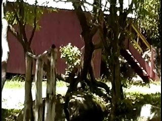 Молодые студентки трахаются в porho seks общежитии
